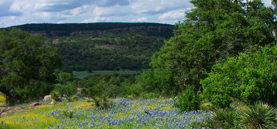 Explore the landscape around Shady Oaks